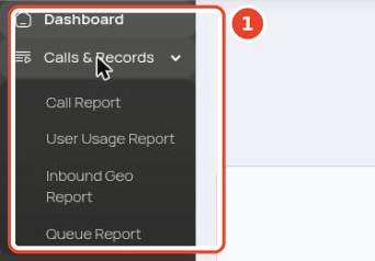 Reporting user's sidebar showing Dashboard and Calls & Records only